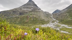 3.6K views · 137 reactions | Raw nature #norway #nature #norge | Norway: Blessed with Nature | Facebook