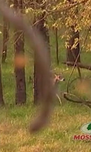 New Episode | The Wensel Brothers #mossyoak #deerhunting #gamekeeper #podcast