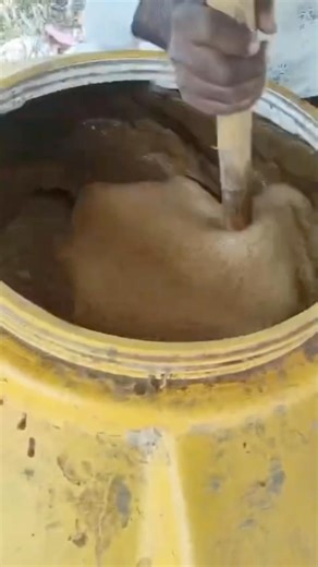 This Is How Living Soil Is Made | Jeevan Amrut Day 3 #soilconservation #monzafarm #soilhealth