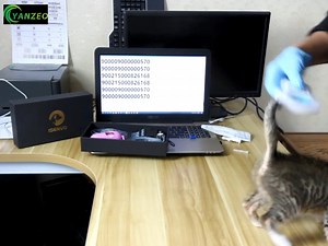 Watch Yanzeo AR180I Pet Microchip Reader, Microchip Registration on Amazon Live