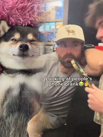 What happens if you secretly look at your friend's phone?