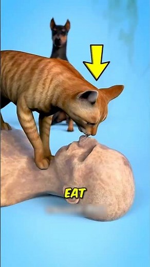Why Would Your Pet Eat You 😨