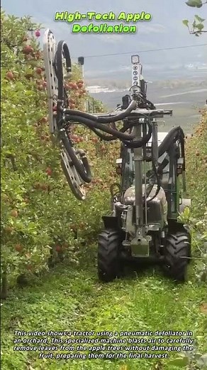 High Tech Apple Defoliation