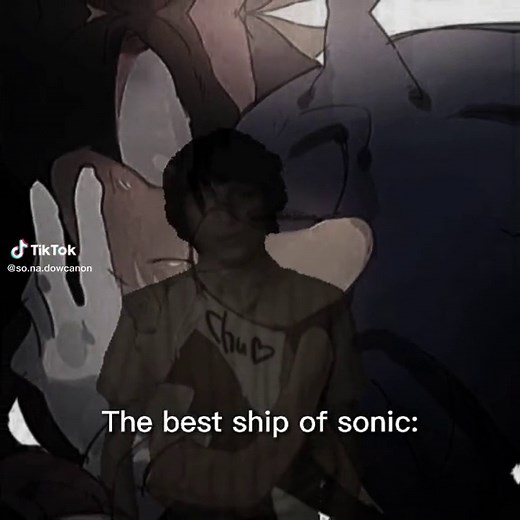 Sonic x Shadow: The Ultimate Hedgehog Duo