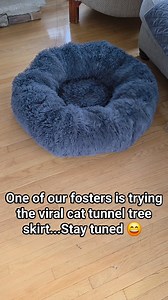 We will report back with our official unofficial review! 😄 | Friends & Ferals