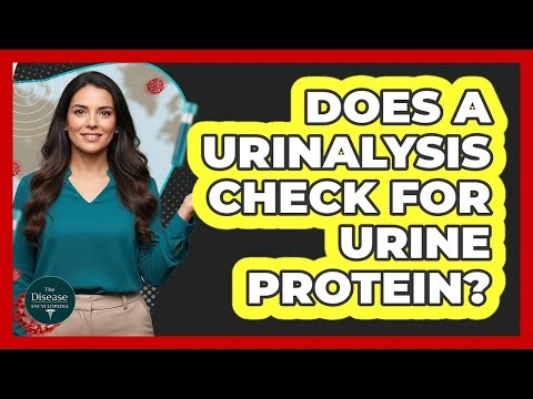 Does A Urinalysis Check For Urine Protein?