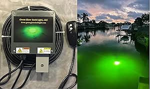 Saltwater Approved Barnacle Burner Underwater Fish Light, 250 Watt Extreme Brilliant Green 21,000 Lumens Single Dock Light 50' Marine Grade Lamp Cable, Automatic Dusk to Dawn, Easy Self Installation.