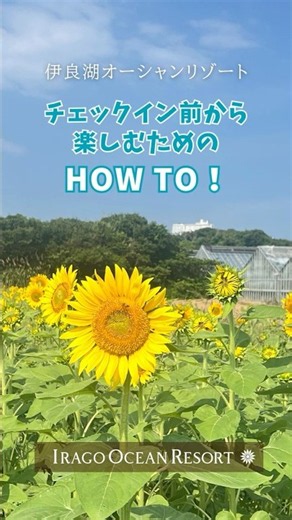 伊良湖オーシャンリゾートの【 意外と知られていない裏技‼️】この夏最高の思い出をつくりましょう🌴✨#伊良湖 #リゾートホテル #プール #日帰り温泉 #エステ #ドッグラン #キッズパーク #裏技