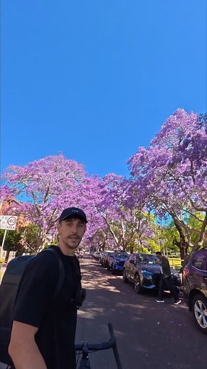 108K views · 1.6K reactions | I’m a fully fledged dendrophile and...