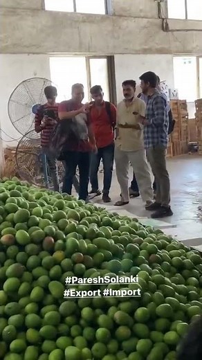 How to Export mango, Mango Export process, Mango Export packing, Export import Business