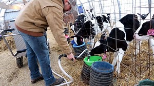 366K views · 5K reactions | NY Farm Girls, show me around their Dairy...