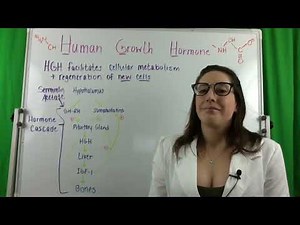 What is Sermorelin Acetate?