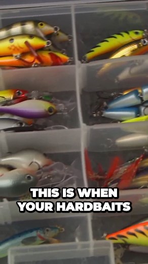 15K views · 328 reactions | https://anglingedge.com/summertime-crappies/ | Lindner's Angling Edge | Facebook