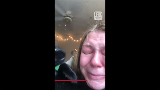 Can Cats Tell When We're Stressed? Here's Proof That They Can — and How It Affects Them