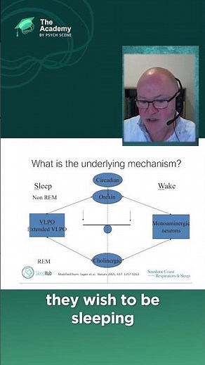 Understanding “Sleep Systems” as a Clinician