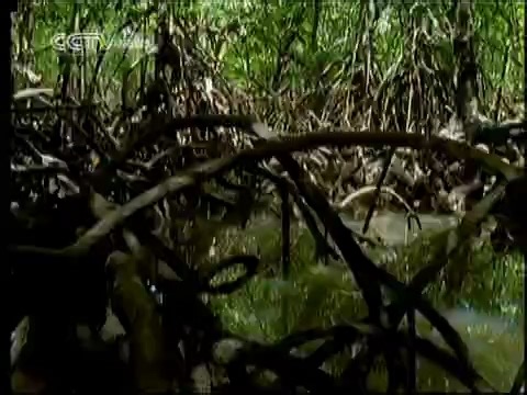 Nature and Science 2011-03-14