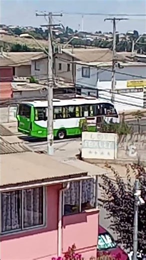 Bepobus Línea 201 Viña Bus