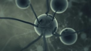 Ancestors: The Humankind Odyssey: How To Evolve