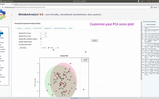 MetaboAnalyst 5.0 - Statistical Analysis (Multivariate analysis)