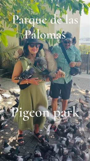 പ്രാവുകളുടെ ഒരു ഉദ്യാനം/ Parque de las Palomas in Puerto Rico