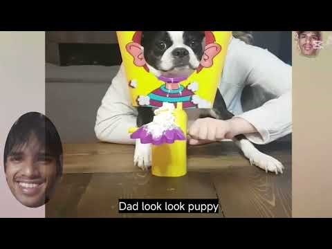 Funny Instant Karma Fails! | 101% Funny 😆