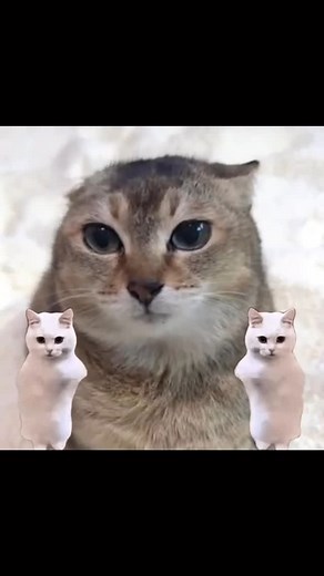 Brainrot | POA1ITM 🗣️🗣️🗣️🗣️🗣️🗣️ Nautica Malone, also known as the Goonlord, has become a cult figure in certain online communities. The term Goonlord... | Instagram