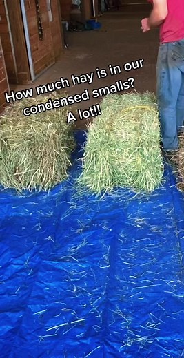 Cutting Grass with a Massey Ferguson 1840 Baler