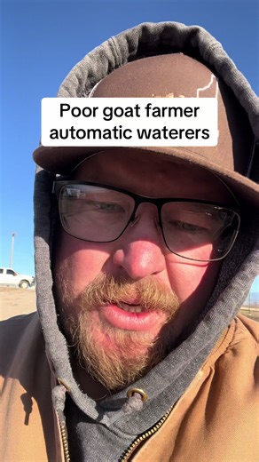 Automatic Watering Solutions for Goat Farmers