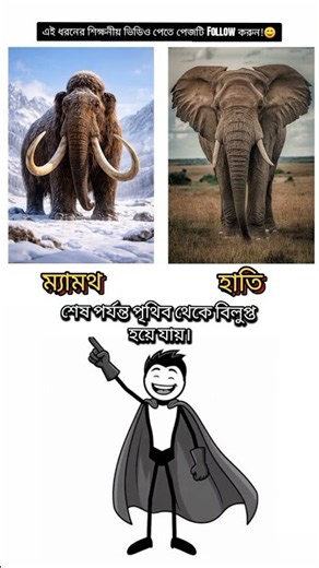 Mammoths from 4,000 Years Ago vs. Today's Elephants: A Comparison!