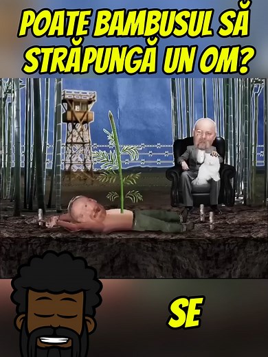 Mituri sau Adevăr: Experimente Științifice