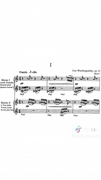 What if there were 24 notes, not just 12? #musicfacts #pianotheory #musictheory #pianotutorial