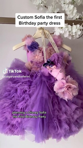 Custom Disney Princess Sofia First Birthday Dress