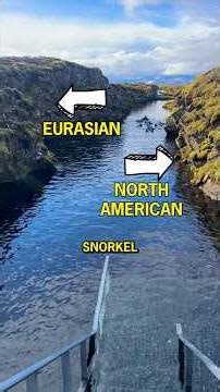 The Only Way to Swim Between Continents