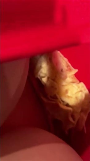 snack rack attack. What should go in there next ??