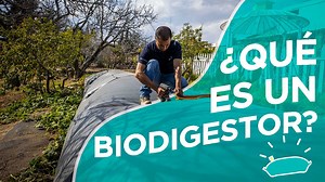 5.8K views · 138 reactions | ¡Te compartimos el primer episodio de nuestra serie TODO SOBRE BIODIGESTORES! ♻️ Hoy Enrique Reyes (Gerente Técnico Sistema.bio) nos explicará qué es un biodigestor y cómo funciona. ¿Tienes alguna duda en específico? Déjala en los comentarios y con gusto te ayudaremos a resolverla. | Sistema Biobolsa | Facebook