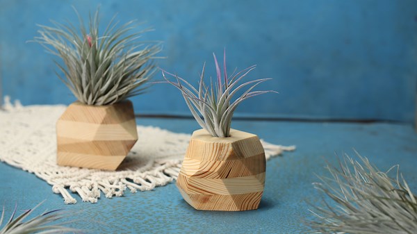 Wood Block Planter