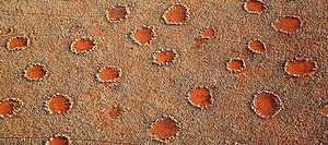 In African 'fairy circles,' a template for nature's many patterns