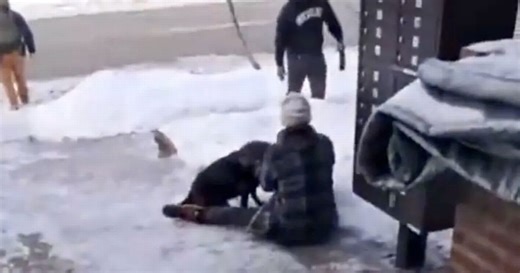 Minneapolis: Video shows moments before ICE agent fatally shot mother