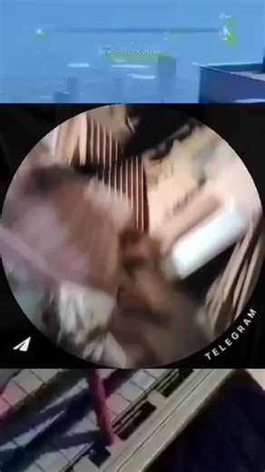 06.06.2025(265) H.265 или HEVC (англ. High Efficiency Video Coding — высокоэффективное кодирование видеоизображений) — формат видеосжатия с применением более эффективных алгоритмов по сравнению с H.264/MPEG-4 AVC[1]. Рекомендация ITU-T H.265, а также стандарт ISO/IEC 23008-2 MPEG-H Часть 2, — совместная разработка экспертной группы МСЭ-Т по видеокодированию (ITU-T Video Coding Experts Group — VCEG) и экспертной группы по движущимся изображениям MPEG[2]. Рекомендация стандарта разработана в связи