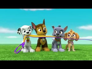 PAW Patrol I Day & Night Rescue I Kids Song 🌞🌙 | Adventure Bay Missions I Cartoon Animation