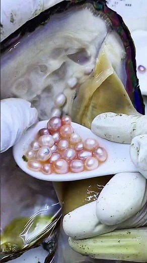 Natural Pearls Framing the Beauty: Golden Akoya-Style Mini Pearls, 100% Natural and Nucleus-Free