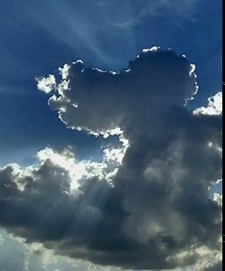 111K views · 1.3K reactions | "Angels live among us. Sometimes they hide their wings, but there is no disguising the peace and hope they bring" | Walk by Faith and Not by Sight | Facebook