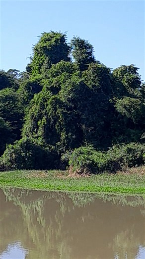 Os vídeos de maria sheila Queiroz (@mariasheilaqueiroz) com som original - maria sheila Queiroz