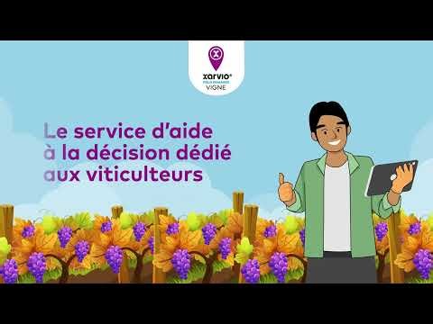 Anticipez les risques maladies, ravageurs et météo avec xarvio FIELD MANAGER Vigne