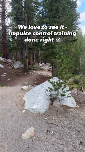 38K views · 54 reactions | Impulse control isn’t just a nice skill —...