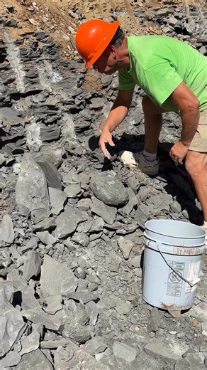 Geode water for the plants #geode #fabulouskeokukgeode #enhydro | RockHunter Mark