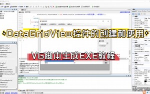 EXE交互四：DataGridView控件的创建和使用