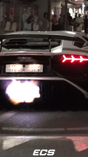 BEST OF Supercar Sounds in Monaco 2025! | ExoticCarspotters