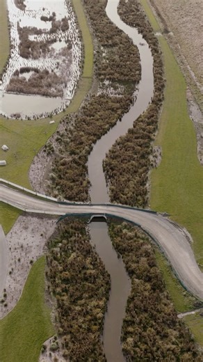 When development and ecology work in harmony, magic happens. The genius lies in the dual purpose: as stormwater flows through the reserve, it's naturally treated by the established vegetation and wetland systems. Meanwhile, families can enjoy walking tracks, open spaces, and watch wildlife thrive in what's become a genuine habitat success story. The expert team behind this integrated approach: Developer: Beach Road Estates Civil Engineer: Woods Geotech/Hydrology: Tonkin Taylor Civil Contractor: 