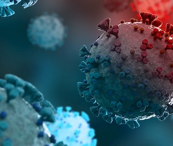 - CerTest SARS-CoV-2 card test - Kabla